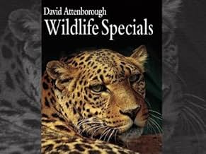その他 Wildlife Specials [DVD] 91o4ddfqzvL._UF894,1000_QL80_.jpg