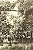 Primary photo for From Wallace to Grant Primary photo for From Wallace to Grant