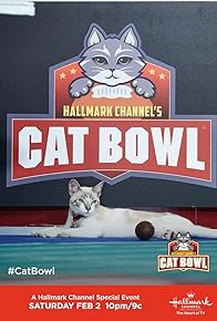 Primary photo for Cat Bowl II Primary photo for Cat Bowl II
