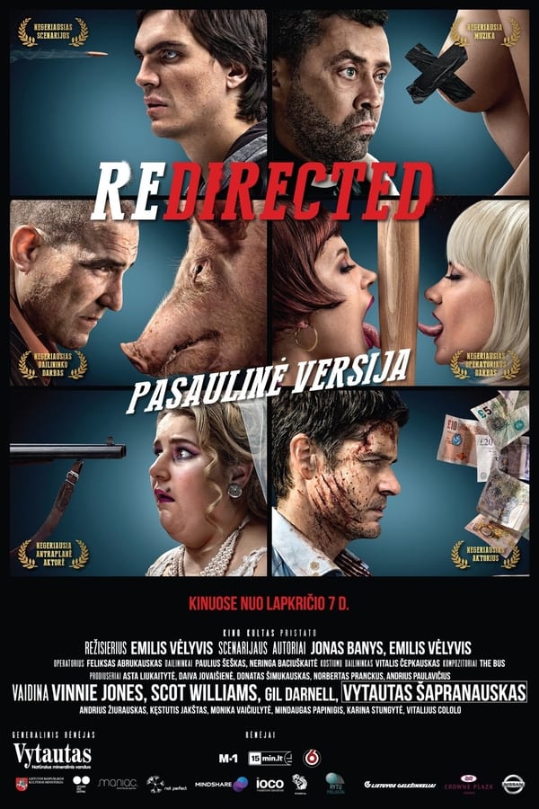 Poster of Redirected