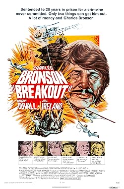 Poster of Breakout