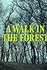 Primary photo for A Walk in the Forest Primary photo for A Walk in the Forest