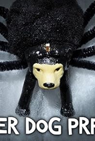 Primary photo for Halloween Spider Dog Prank!