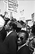 पोस्टर देखें