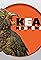 KEA Kids News's primary photo