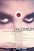Primary photo for Encomium: A Tribute to Led Zeppelin Primary photo for Encomium: A Tribute to Led Zeppelin