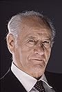 Eli Wallach's primary photo Eli Wallach's primary photo