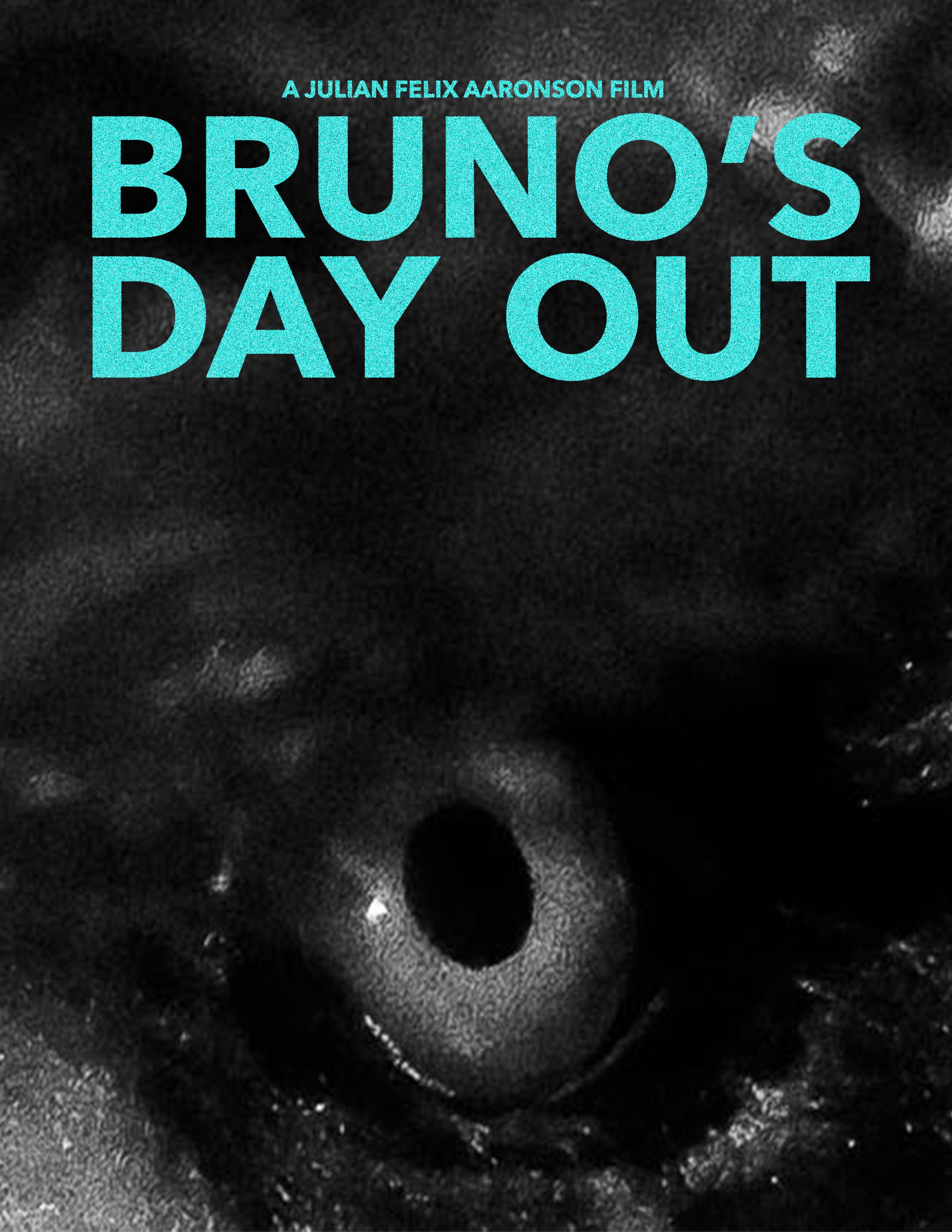 Bruno's Day Out