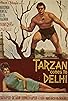 Primary photo for Tarzan Comes to Delhi Primary photo for Tarzan Comes to Delhi
