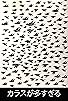 Primary photo for There's Too Many of These Crows