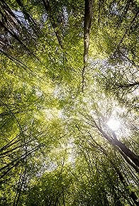 Primary photo for Consequences