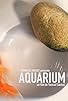 Primary photo for Aquarium Primary photo for Aquarium