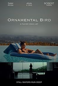 Primary photo for Ornamental Bird