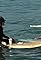 Surfing for Brian Grazer: Episode 3's primary photo