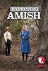 Primary photo for Expecting Amish Primary photo for Expecting Amish