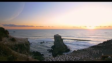 पोस्टर देखें