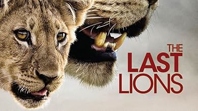 その他 Last Lions [DVD] The Last Lions (Blu-ray Disc, 2012) for sale online | eBay
