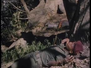 पोस्टर देखें