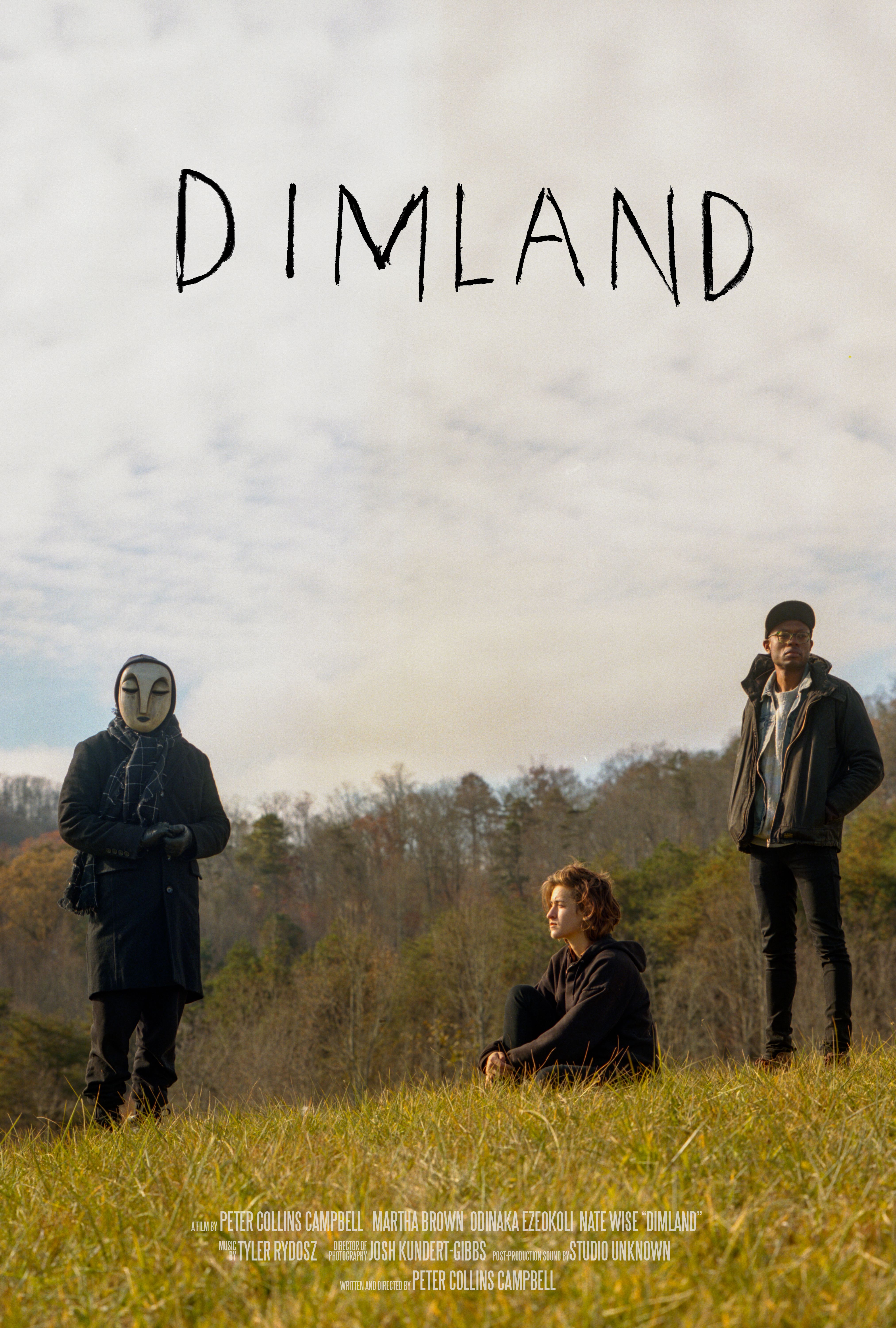 Poster of DimLand