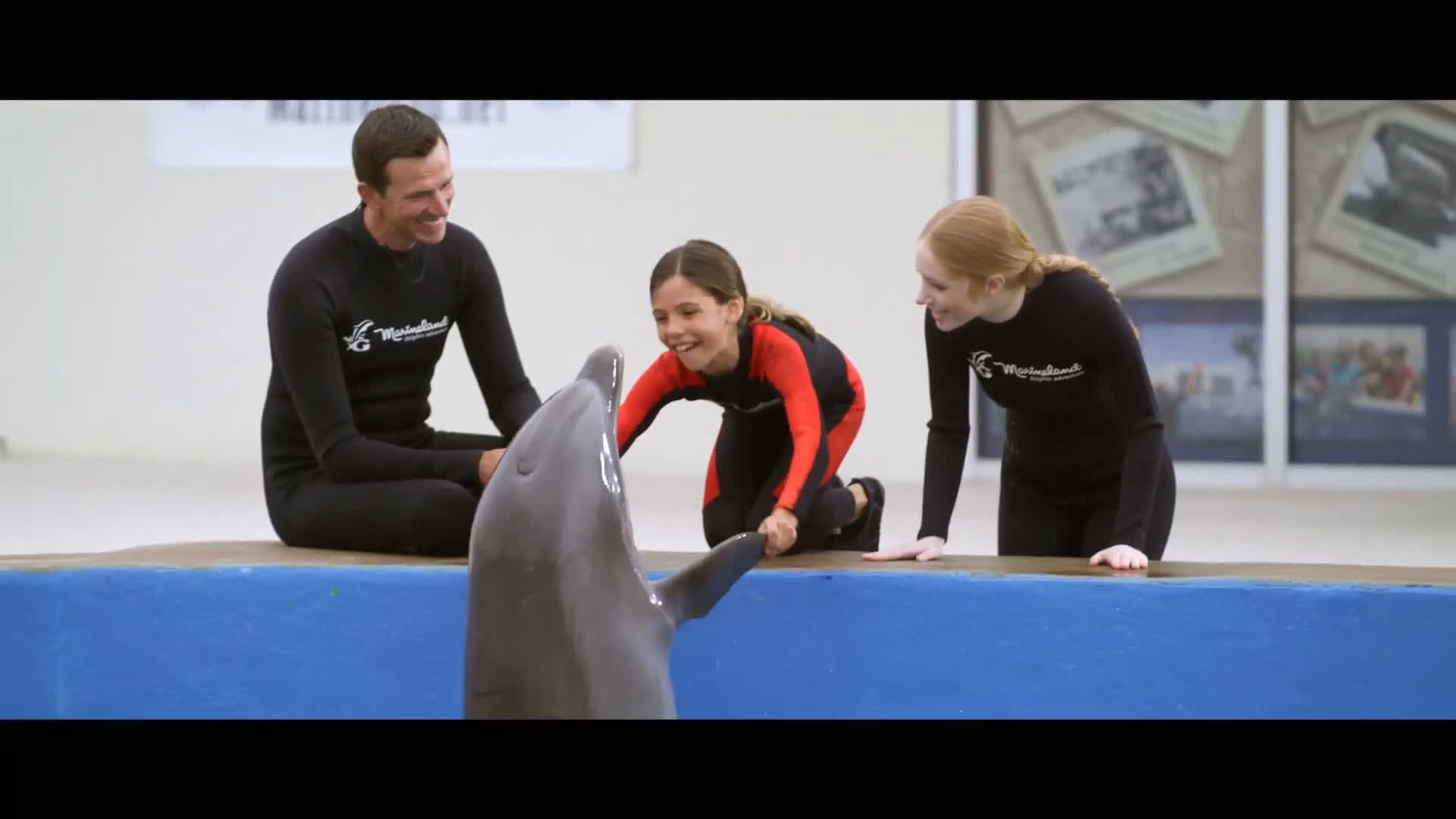 Дельфин 2 27 мая. Дельфин 2 27 мая. Дельфин 2 27 мая. Дельфин 2 27 мая. Новосибирск дельфин центр океанографии.