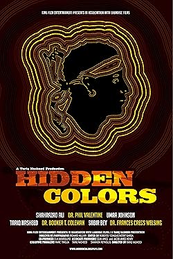 Poster of Hidden Colors