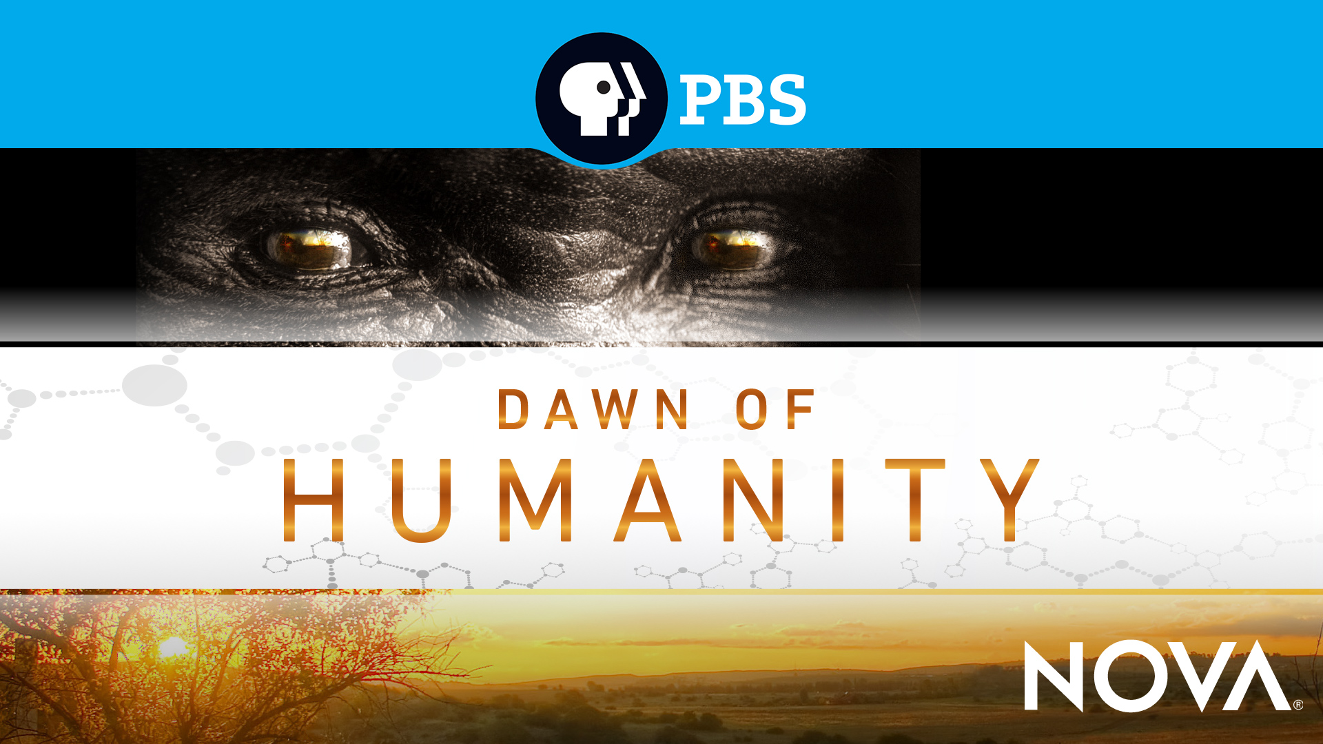Dawn of Humanity movie poster