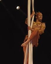 पोस्टर देखें