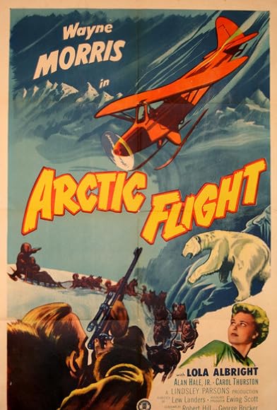 Primary photo for Arctic Flight Primary photo for Arctic Flight