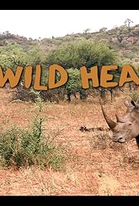 Primary photo for A Wild Heart
