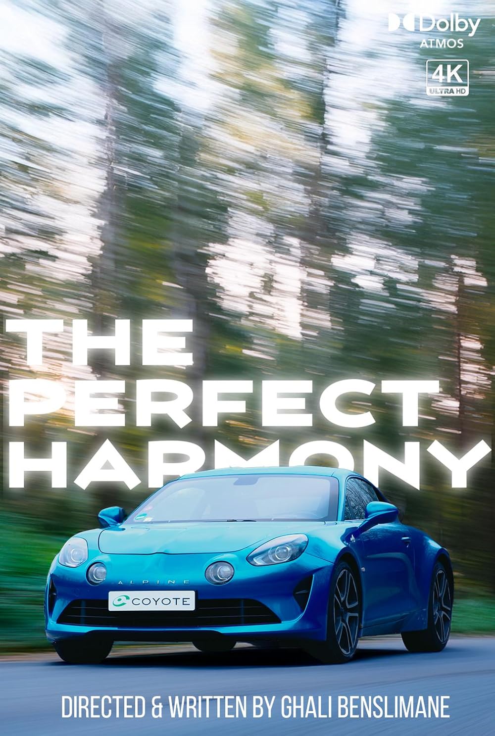 The Perfect Harmony (Short 2024) - IMDb
