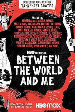 Poster of Between the World and Me