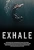 Primary photo for Exhale Primary photo for Exhale