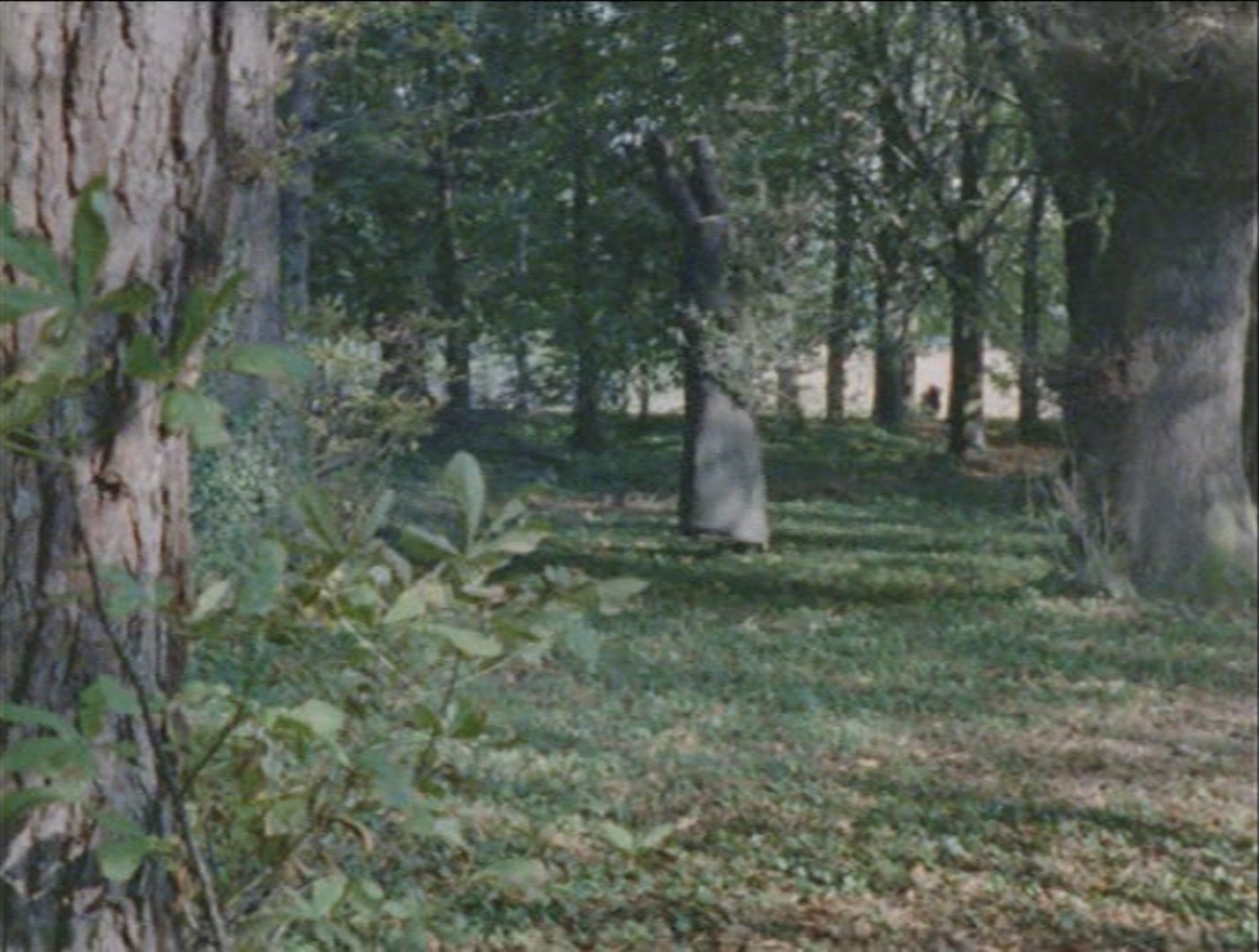 Catweazle (1970)