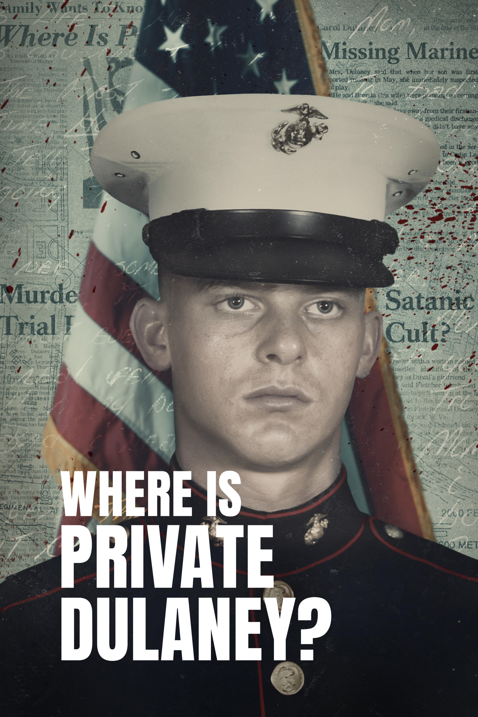 Poster of Where Is Private Dulaney?