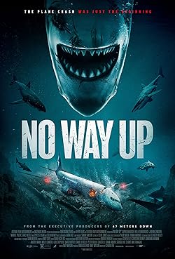 Poster of No Way Up