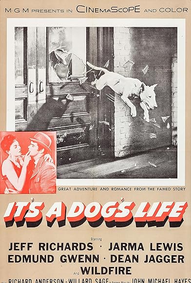 Primary photo for It's a Dog's Life Primary photo for It's a Dog's Life