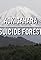 Aokigahara: Suicide Forest's primary photo