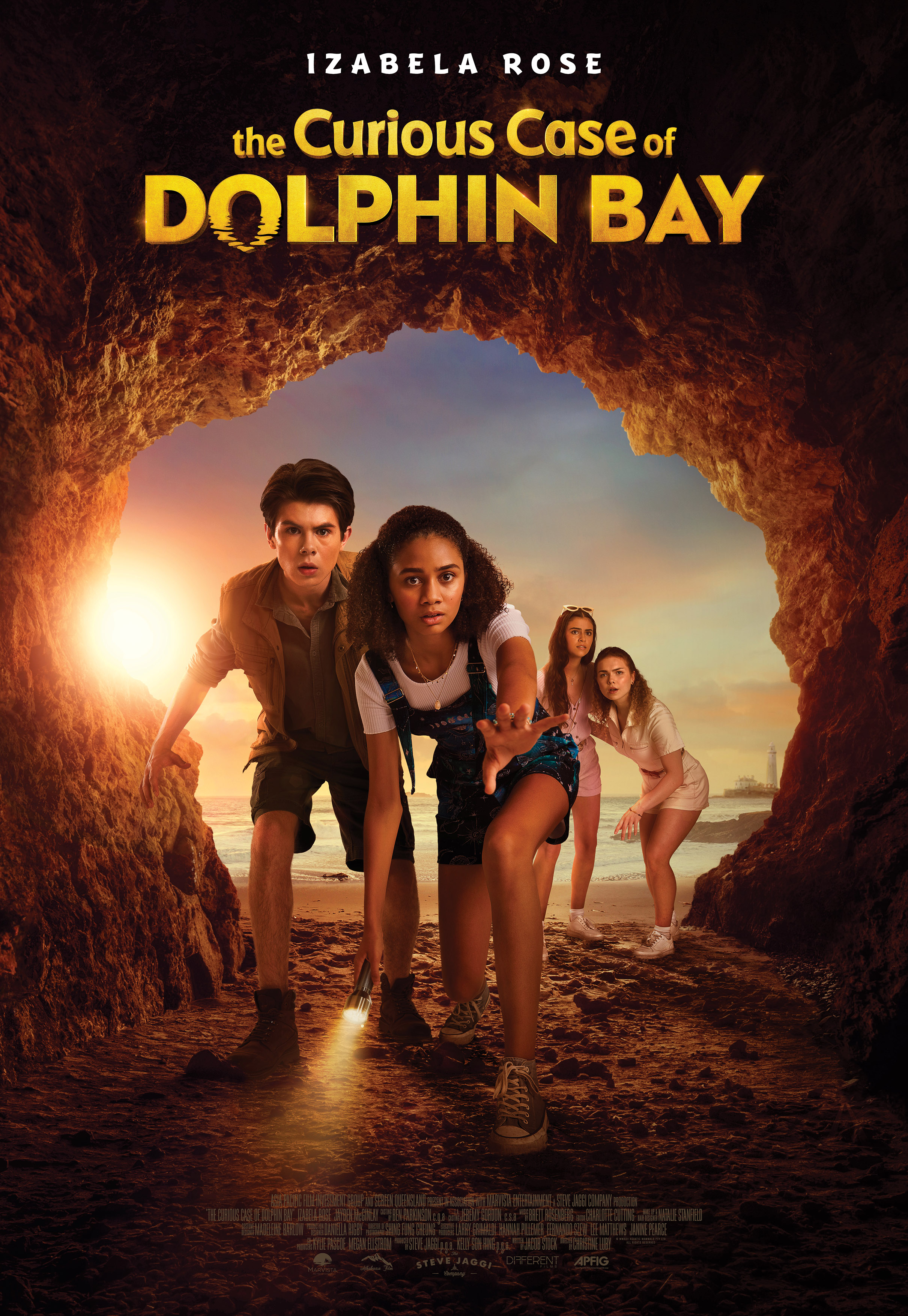 Poster of The Curious Case of Dolphin Bay