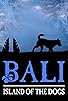 Primary photo for Bali: Island of the Dogs Primary photo for Bali: Island of the Dogs