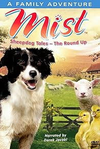 Primary photo for Mist: Sheepdog Tales Primary photo for Mist: Sheepdog Tales