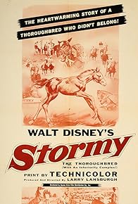 Primary photo for Stormy, the Thoroughbred Primary photo for Stormy, the Thoroughbred