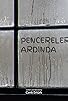 Primary photo for Pencereler Ardinda