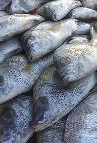 Primary photo for Threats to Our Oceans Primary photo for Threats to Our Oceans