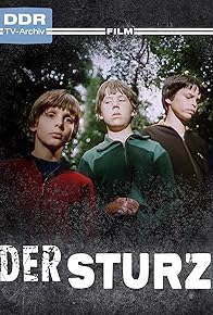 Primary photo for Der Sturz