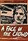 A Face in the Crowd's primary photo