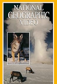 Primary photo for Yellowstone: Realm of the Coyote