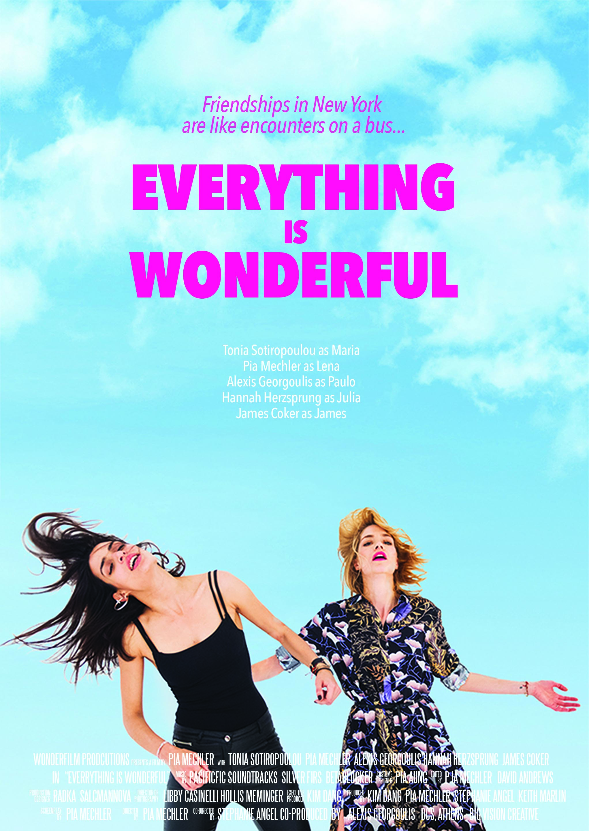 Poster of Everything Is Wonderful