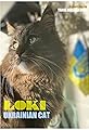Loki. Ukrainian Cat's primary photo