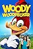 Primary photo for Woody Woodpecker Primary photo for Woody Woodpecker