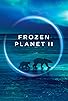 Primary photo for Frozen Planet II Primary photo for Frozen Planet II
